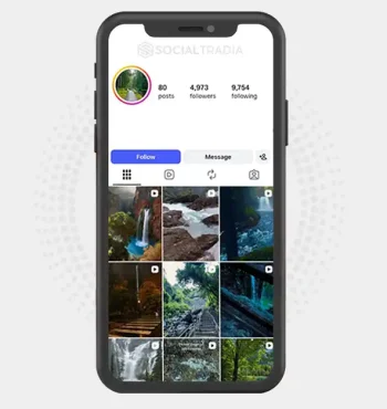 Instagram account NatureAroundUs (4.9k Followers)