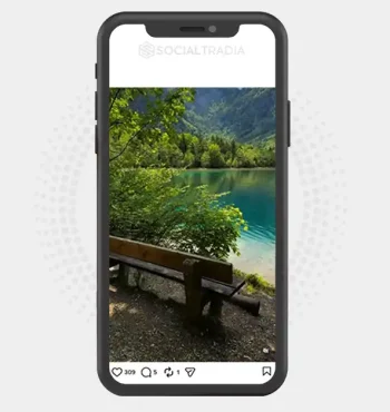 Instagram account NatureAroundUs (4.9k Followers)