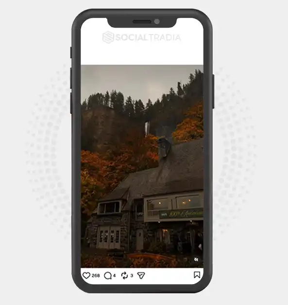 Instagram account NatureAroundUs (4.9k Followers)