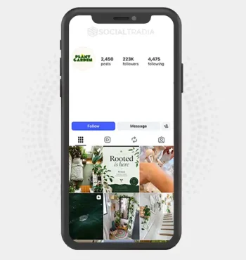 Instagram account The Green Home (223k Followers)