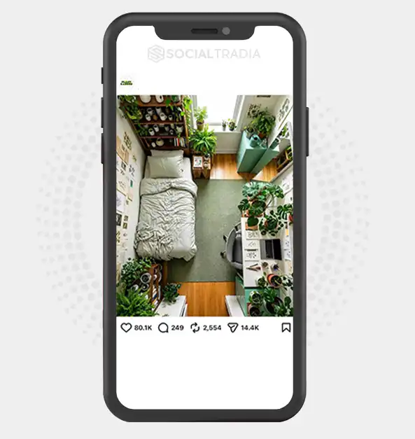 Instagram account The Green Home (223k Followers)