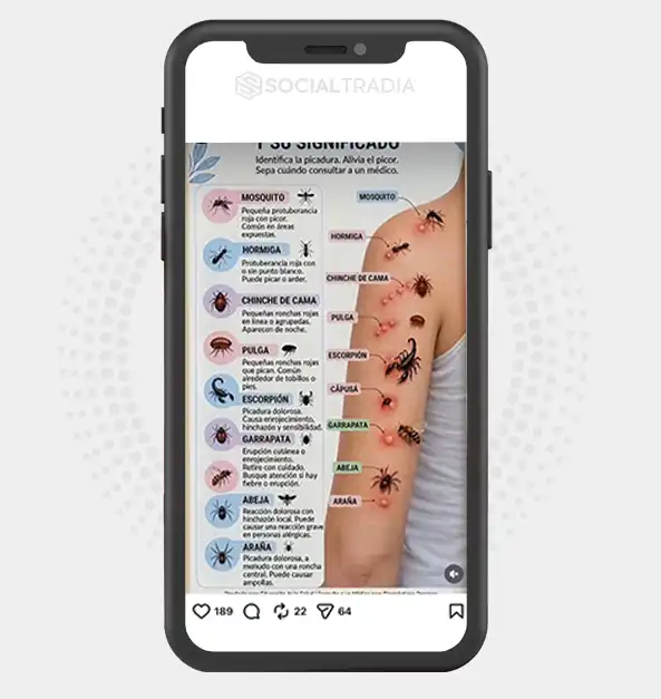 Instagram account Wellness Guide (205 k Followers)