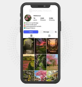 Instagram account wildcanvas15 (1.9k Followers)