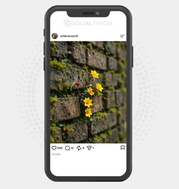 Instagram account wildcanvas15 (1.9k Followers)