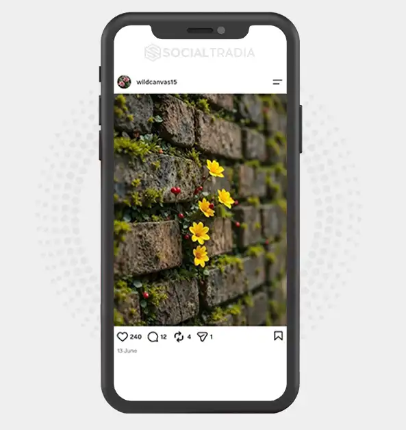 Instagram account wildcanvas15 (1.9k Followers)