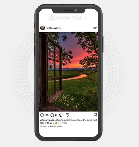 Instagram account wildcanvas15 (1.9k Followers)