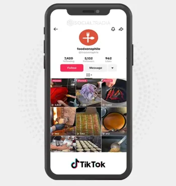 TikTok account Foodxenophile (5.1k Followers)
