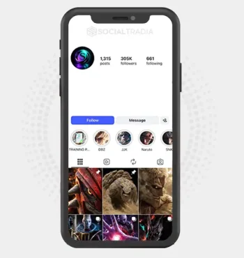 Instagram account AnimeArtistry (305k Followers)