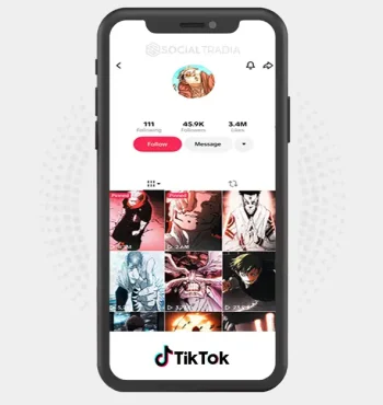 TikTok account AnimeEditor (45.9k Followers)