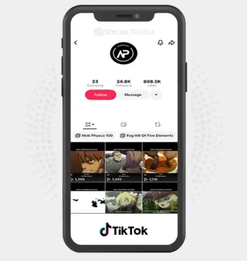 TikTok account AnimeRecommendations (24.8k Followers)
