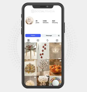 Instagram account DailyCreativity (9.2 k Followers)