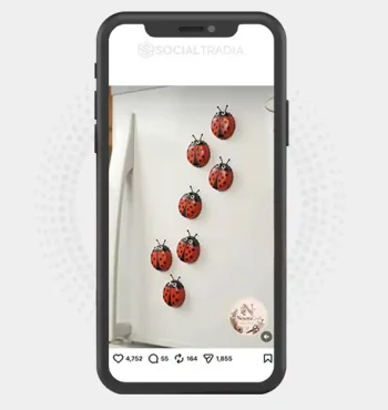 Instagram account DailyCreativity (9.2 k Followers)