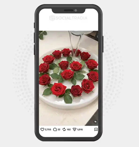 Instagram account DailyCreativity (9.2 k Followers)