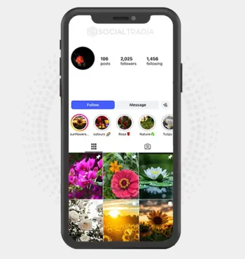 Instagram account Flower Photography (2k Followers)