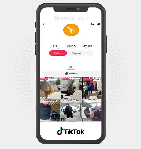 TikTok account FunnyVidz (967.5k Followers)