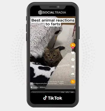 TikTok account FunnyVidz (967.5k Followers)