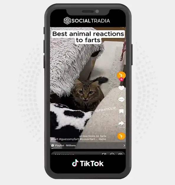 TikTok account FunnyVidz (967.5k Followers)