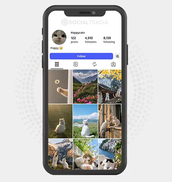 Instagram account happycats1814 (4.9k Followers)