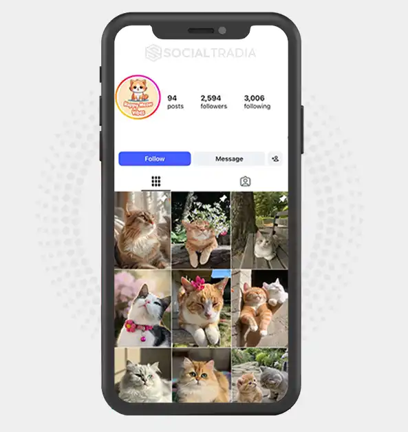 Instagram account HappyMeows (2.5k Followers)
