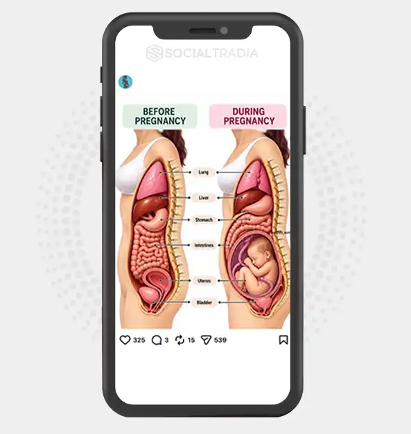 Instagram account HealthyPregnancy (130k Followers)