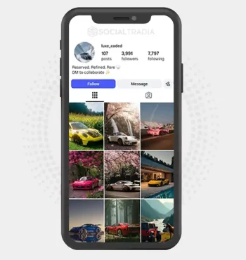 Instagram account luxe_coded (3.9k Followers)