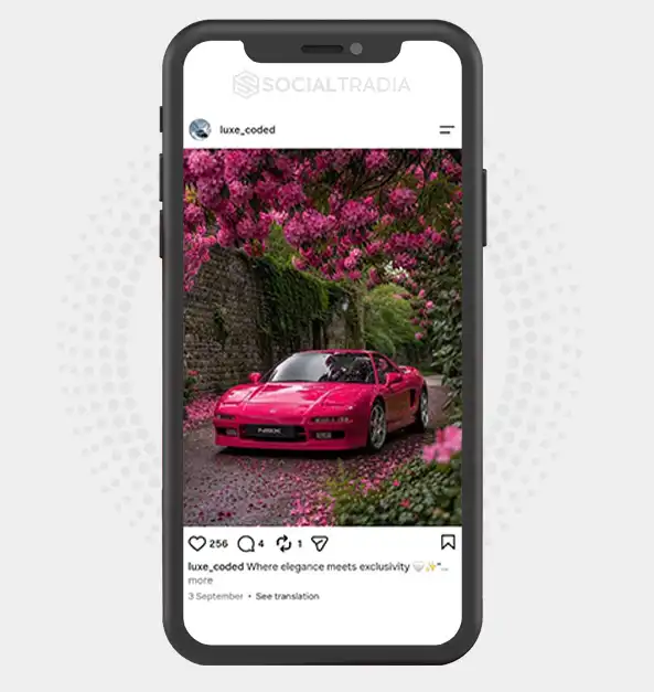 Instagram account luxe_coded (3.9k Followers)
