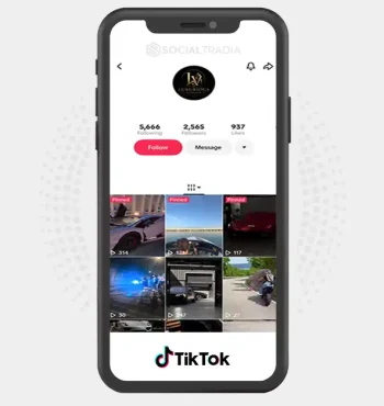 TikTok account LuxuriousVision (3k Followers)