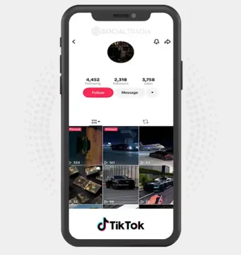 TikTok account Modern Luxe (2.3k Followers)