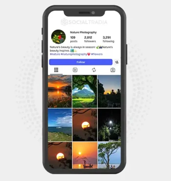 Instagram account nature38270 (2.8k Followers)