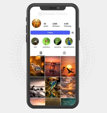 Instagram account NatureCaptured (3.1k Followers)