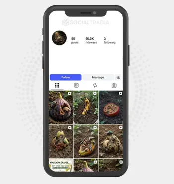 Instagram account NatureUnveiled (88.1 k Followers)