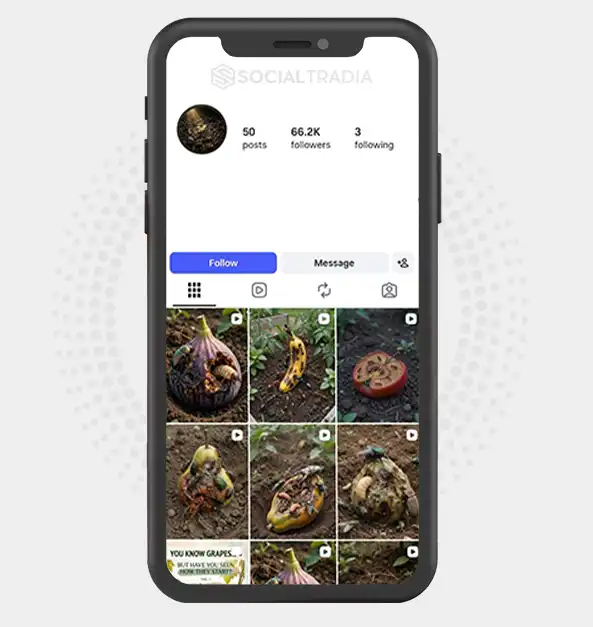 Instagram account NatureUnveiled (92.3 k Followers)