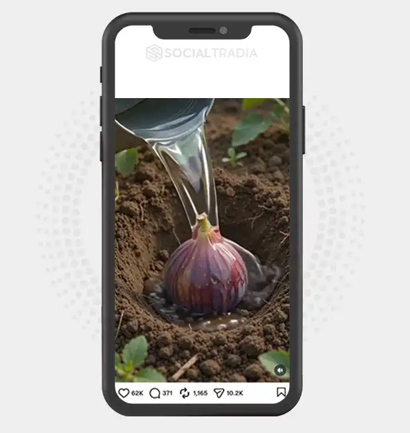Instagram account NatureUnveiled (92.3 k Followers)
