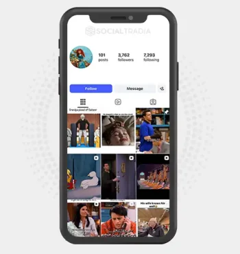 Instagram account SceneVerse (3.8k Followers)