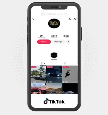 TikTok account The Luxe Club (3.2k Followers)