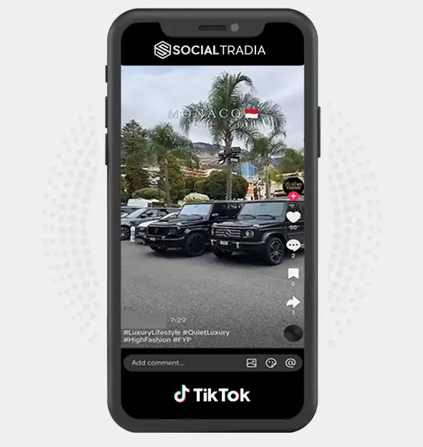 TikTok account The Luxe Club (3.2k Followers)