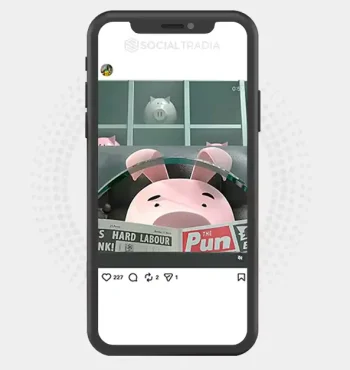 Instagram account TheSceneSpot (6.5k Followers)
