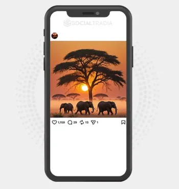 Instagram account Travel Muse (3k Followers)