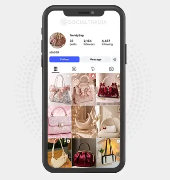 Instagram account trendybag767 (2.1k Followers)