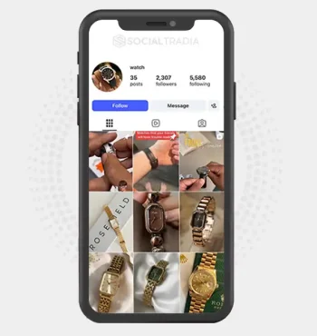 Instagram account watch_houseee (2.3k Followers)