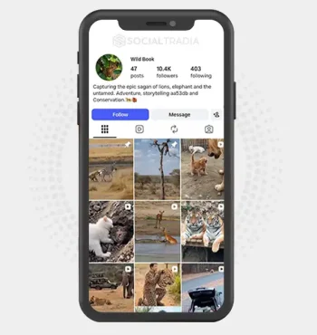 Instagram account wild._book (10.8k Followers)