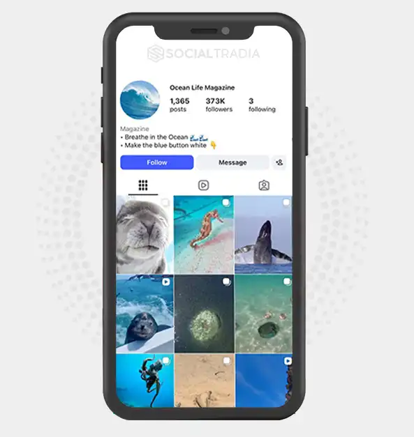 Instagram account OceanLifeMagazine (373k Followers)