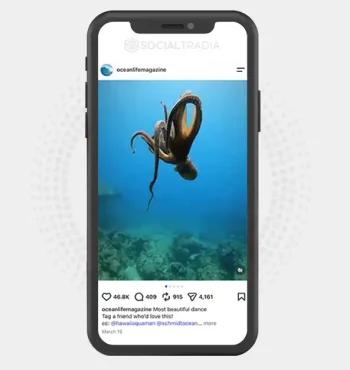 Instagram account OceanLifeMagazine (373k Followers)