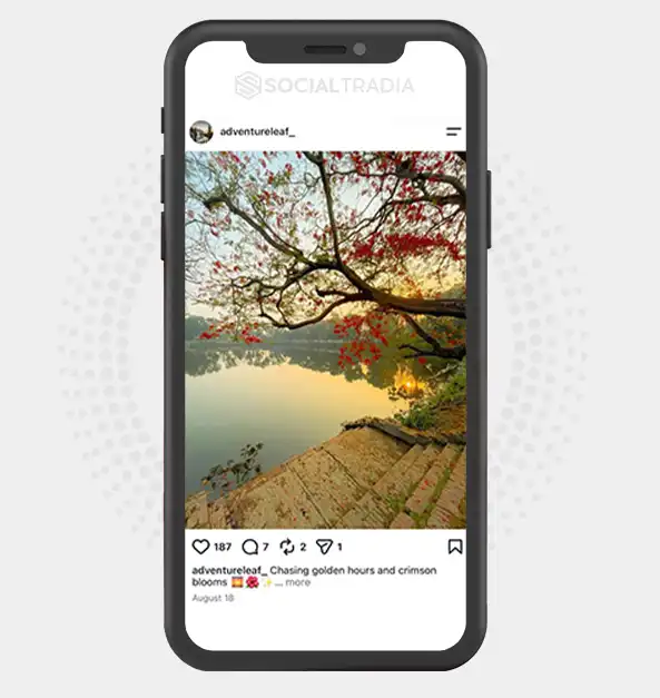 Instagram account adventureleaf_ (3k Followers)