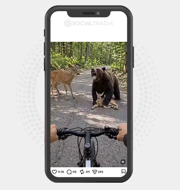 Instagram account Animal Rescue (178k Followers)
