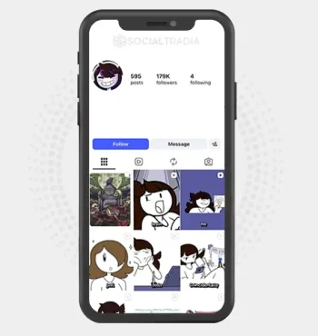 Instagram account Animation Loop (179k Followers)