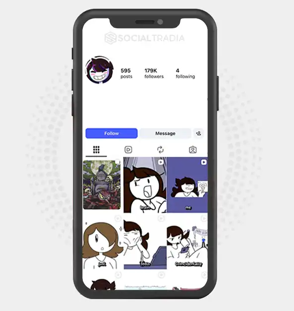 Instagram account Animation Loop (179k Followers)
