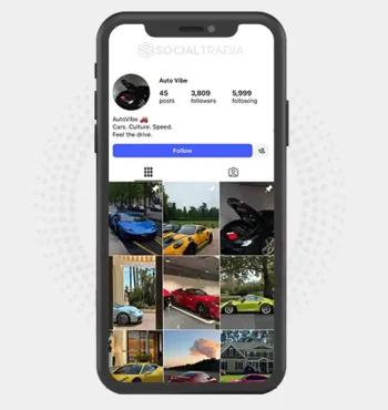 Instagram account autoviibee (3.8k Followers)