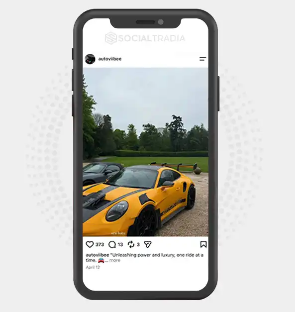 Instagram account autoviibee (3.8k Followers)