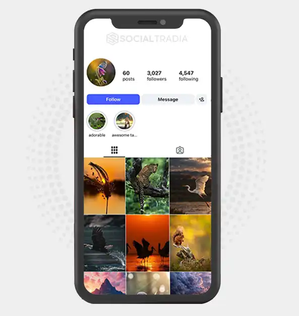 Instagram account Beyond Horizons (3k Followers)